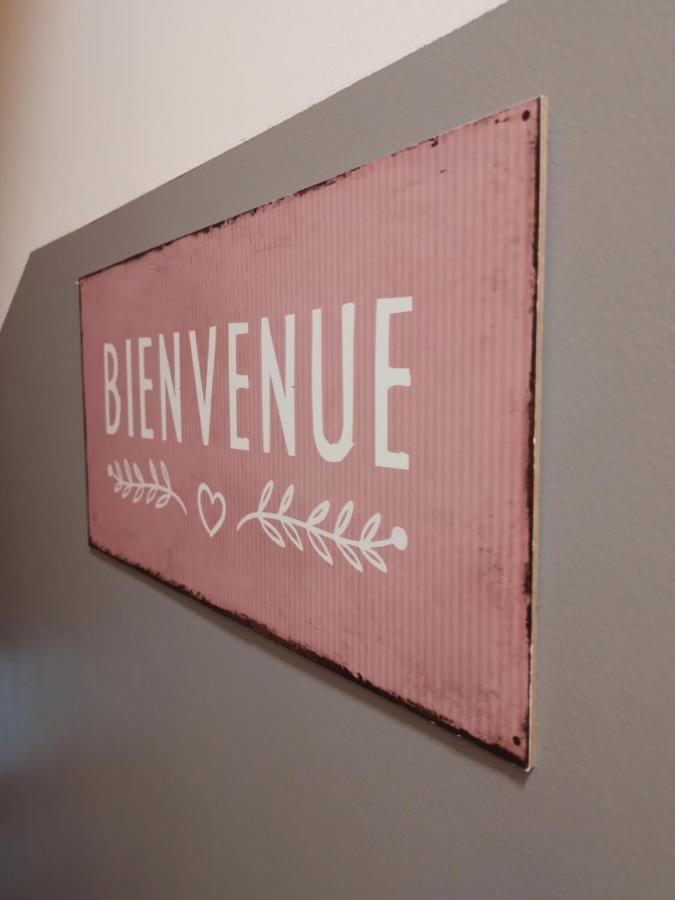 Le Coeur De Sel Apartment Salins-les-Bains Ngoại thất bức ảnh